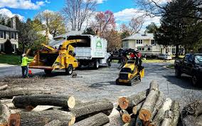 Best Artificial Turf Installation  in Rupert, WV